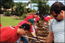 Drug Court Project on Big Island