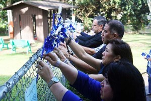 hanging pinwheels_500pix