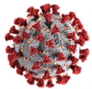 photo of COVID-19 Virus