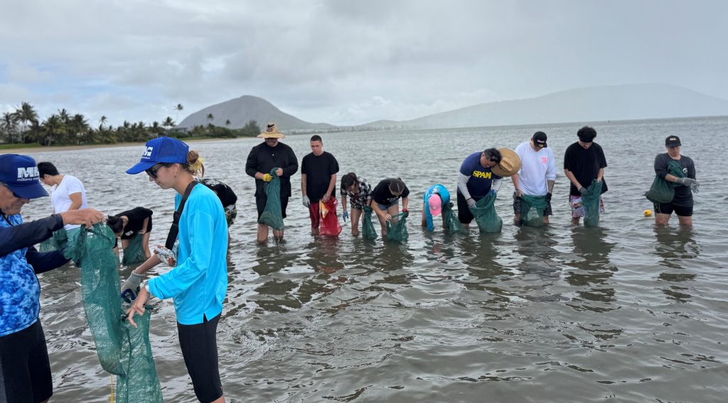 Several participants and Judiciary staff volunteers from Oʻahu specialty courts wade into the water to pull invasive alien algae from Maunalua Bay on April 11, 2025.